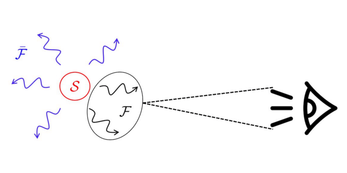 Branching States as The Emergent Structure of a Quantum Universe