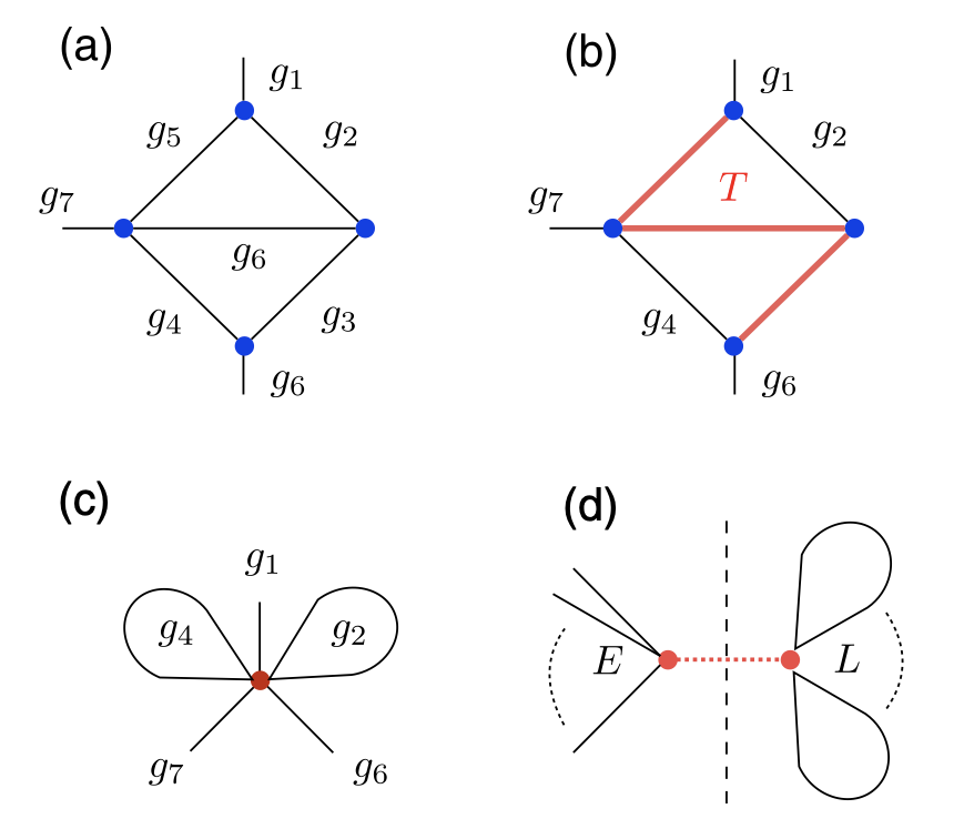 Fate of the Hoop Conjecture in Quantum Gravity